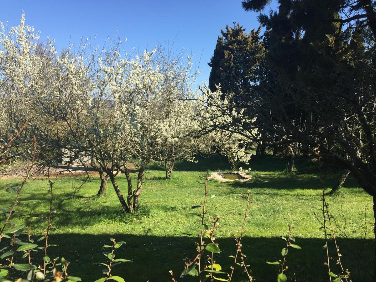 La Maison Ocre Saint-Julien-de-Briola 外观 照片